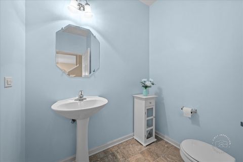 Tiny photo for 257 Hanburg Lane, Bolingbrook, IL 60440 (MLS # 12618401)