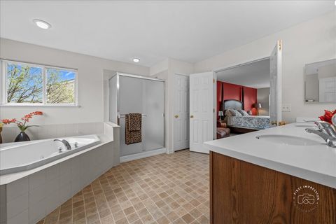 Tiny photo for 257 Hanburg Lane, Bolingbrook, IL 60440 (MLS # 12618401)