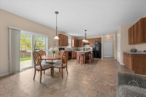 Tiny photo for 257 Hanburg Lane, Bolingbrook, IL 60440 (MLS # 12618401)