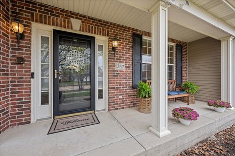 Tiny photo for 257 Hanburg Lane, Bolingbrook, IL 60440 (MLS # 12618401)