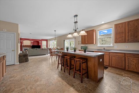 Tiny photo for 257 Hanburg Lane, Bolingbrook, IL 60440 (MLS # 12618401)