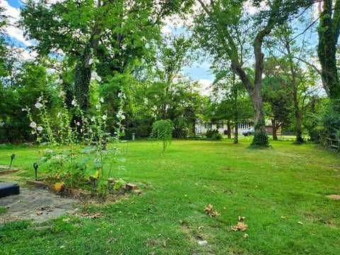 Tiny photo for 404 N Smith Street, Carbondale, IL 62901 (MLS # 12764938)