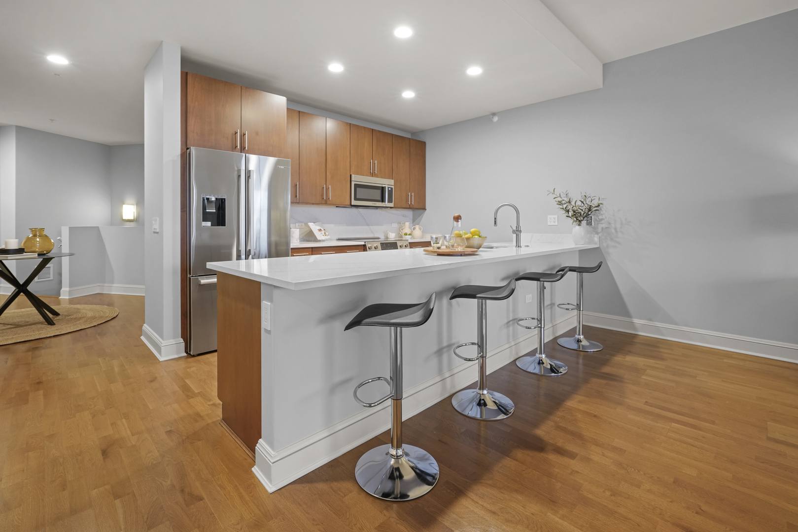 850 N Lake Shore Drive 203