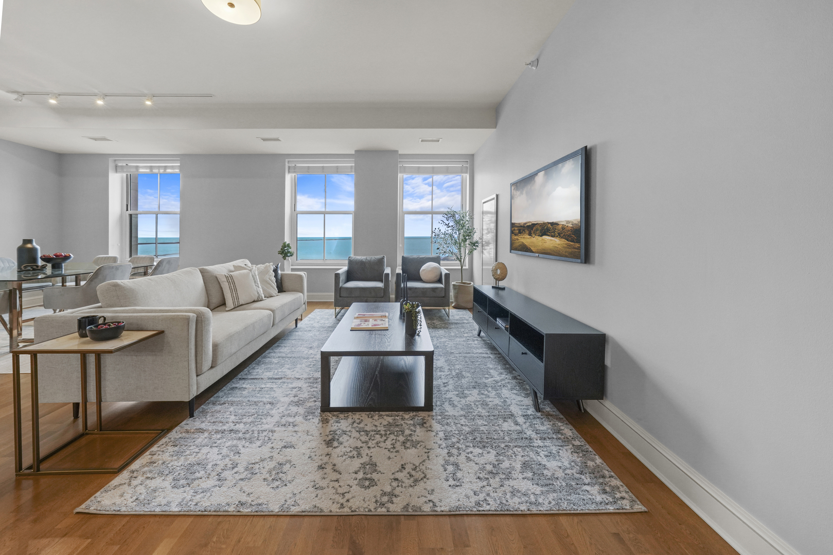 850 N Lake Shore Drive 203
