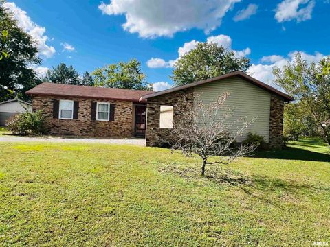 Tiny photo for 295 Country Acres Road, Eldorado, IL 62930 (MLS # EB460052)