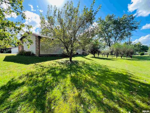 Tiny photo for 295 Country Acres Road, Eldorado, IL 62930 (MLS # EB460052)