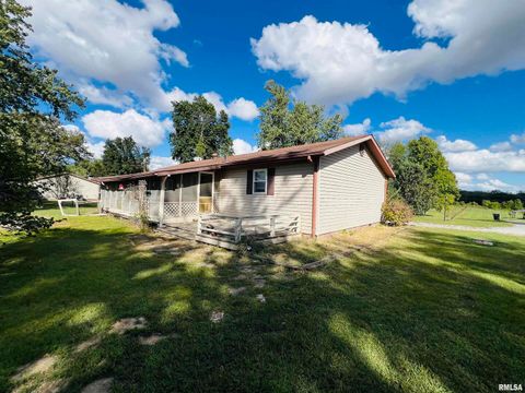 Tiny photo for 295 Country Acres Road, Eldorado, IL 62930 (MLS # EB460052)