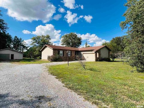 Tiny photo for 295 Country Acres Road, Eldorado, IL 62930 (MLS # EB460052)