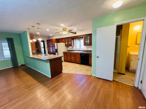 Tiny photo for 295 Country Acres Road, Eldorado, IL 62930 (MLS # EB460052)