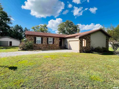 Photo of 295 Country Acres Road, Eldorado, IL 62930 (MLS # EB460052)