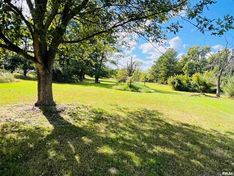 Tiny photo for 295 Country Acres Road, Eldorado, IL 62930 (MLS # EB460052)