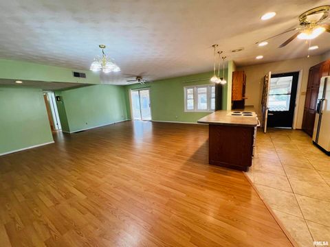 Tiny photo for 295 Country Acres Road, Eldorado, IL 62930 (MLS # EB460052)