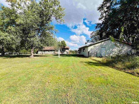 Tiny photo for 295 Country Acres Road, Eldorado, IL 62930 (MLS # EB460052)