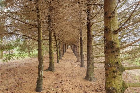 Tiny photo for 14540 E 3400 North Road, Rossville, IL 60963 (MLS # 12606327)