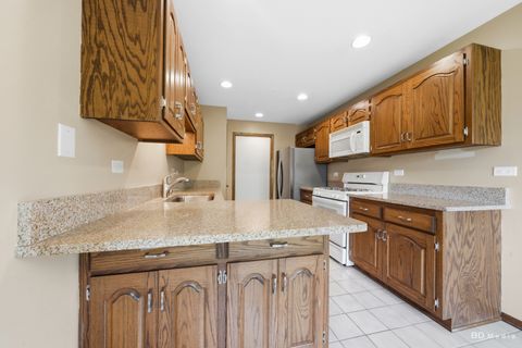 Tiny photo for 9822 Mill Drive W #B2, Palos Park, IL 60464 (MLS # 12650847)