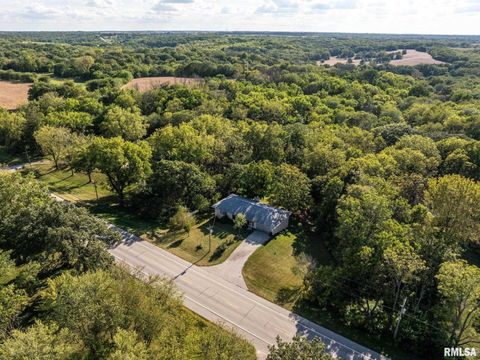 Tiny photo for 14028 KNOXVILLE Road, Milan, IL 61264 (MLS # QC4267786)