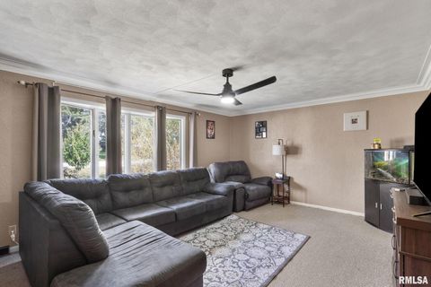 Tiny photo for 14028 KNOXVILLE Road, Milan, IL 61264 (MLS # QC4267786)