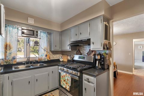 Tiny photo for 14028 KNOXVILLE Road, Milan, IL 61264 (MLS # QC4267786)