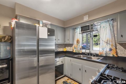 Tiny photo for 14028 KNOXVILLE Road, Milan, IL 61264 (MLS # QC4267786)