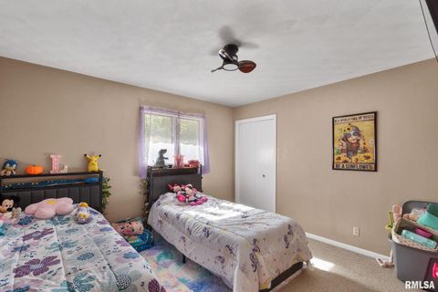 Tiny photo for 14028 KNOXVILLE Road, Milan, IL 61264 (MLS # QC4267786)