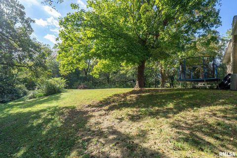 Tiny photo for 14028 KNOXVILLE Road, Milan, IL 61264 (MLS # QC4267786)