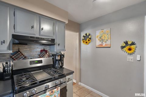 Tiny photo for 14028 KNOXVILLE Road, Milan, IL 61264 (MLS # QC4267786)