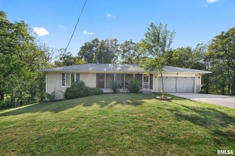 Photo of 14028 KNOXVILLE Road, Milan, IL 61264 (MLS # QC4267786)