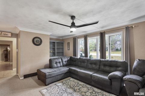 Tiny photo for 14028 KNOXVILLE Road, Milan, IL 61264 (MLS # QC4267786)