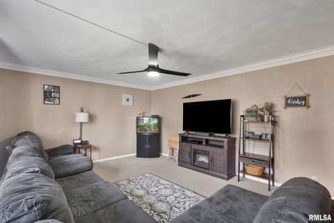 Tiny photo for 14028 KNOXVILLE Road, Milan, IL 61264 (MLS # QC4267786)