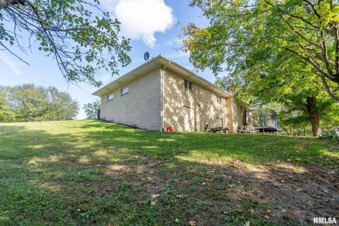 Tiny photo for 14028 KNOXVILLE Road, Milan, IL 61264 (MLS # QC4267786)