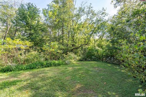 Tiny photo for 14028 KNOXVILLE Road, Milan, IL 61264 (MLS # QC4267786)