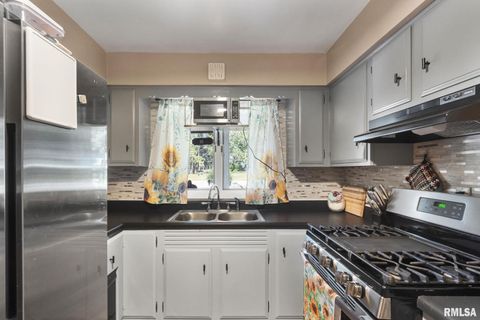 Tiny photo for 14028 KNOXVILLE Road, Milan, IL 61264 (MLS # QC4267786)