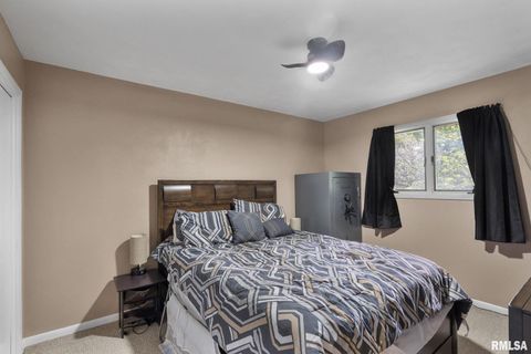 Tiny photo for 14028 KNOXVILLE Road, Milan, IL 61264 (MLS # QC4267786)