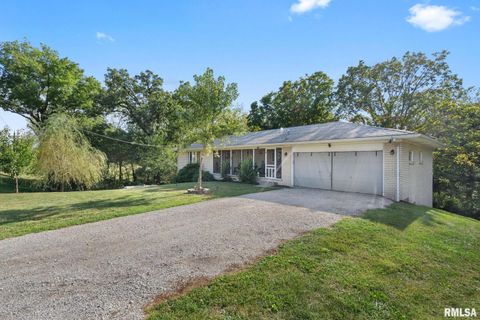 Tiny photo for 14028 KNOXVILLE Road, Milan, IL 61264 (MLS # QC4267786)