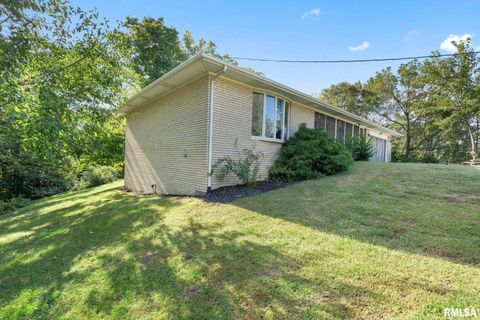 Tiny photo for 14028 KNOXVILLE Road, Milan, IL 61264 (MLS # QC4267786)