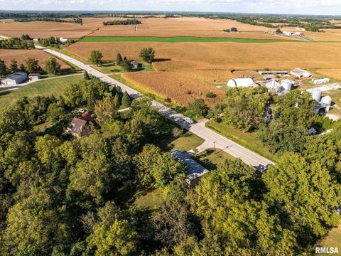 Tiny photo for 14028 KNOXVILLE Road, Milan, IL 61264 (MLS # QC4267786)