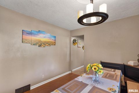 Tiny photo for 14028 KNOXVILLE Road, Milan, IL 61264 (MLS # QC4267786)