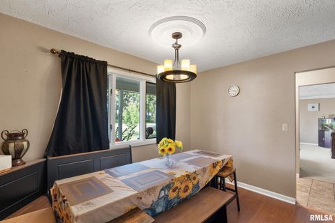 Tiny photo for 14028 KNOXVILLE Road, Milan, IL 61264 (MLS # QC4267786)