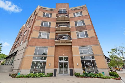 300 Village Circle 505 Willow Springs IL 60480