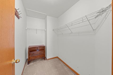 Tiny photo for 253 Nicole Drive #E, South Elgin, IL 60177 (MLS # 12526621)