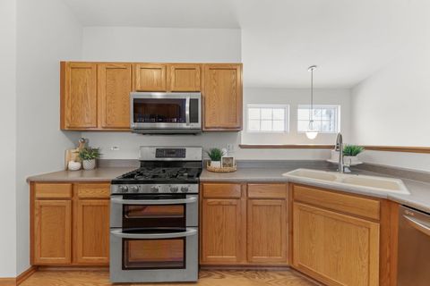 Tiny photo for 253 Nicole Drive #E, South Elgin, IL 60177 (MLS # 12526621)