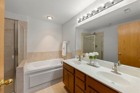 Tiny photo for 253 Nicole Drive #E, South Elgin, IL 60177 (MLS # 12526621)