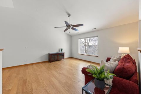 Tiny photo for 253 Nicole Drive #E, South Elgin, IL 60177 (MLS # 12526621)