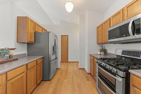 Tiny photo for 253 Nicole Drive #E, South Elgin, IL 60177 (MLS # 12526621)