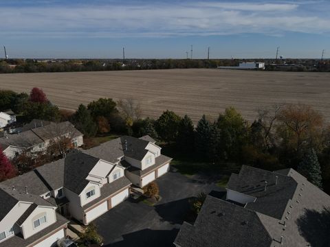 Tiny photo for 253 Nicole Drive #E, South Elgin, IL 60177 (MLS # 12526621)