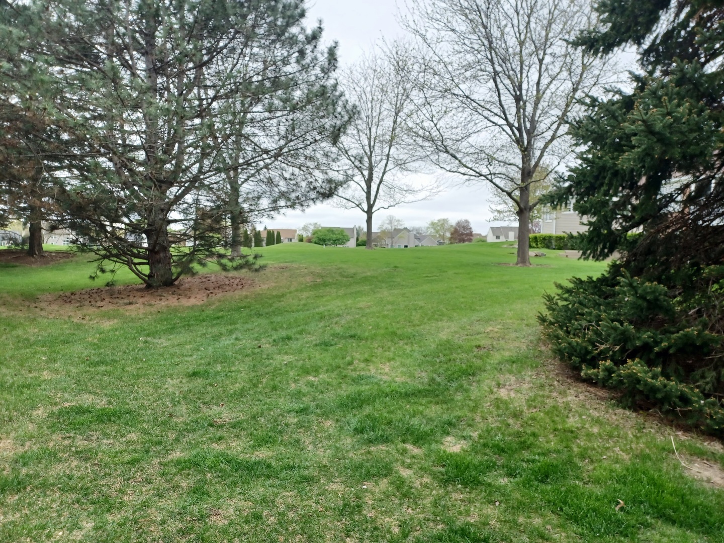 1095 Saint Andrews Court 1095