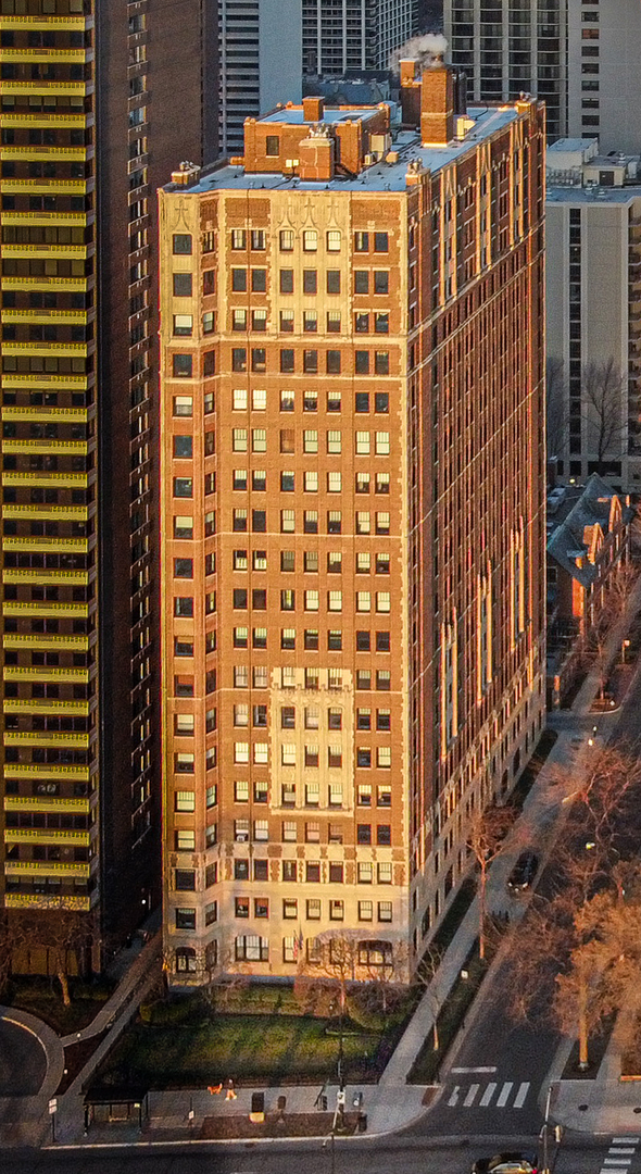 1448 N Lake Shore Drive 3C