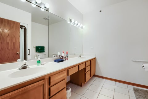 Tiny photo for 11035 Deblin Lane #305, Oak Lawn, IL 60453 (MLS # 12744258)