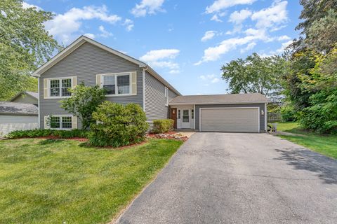 792 Ravenswood Court Lake Zurich IL 60047