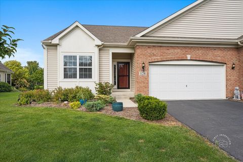 Tiny photo for 128 Reston Lane, Gilberts, IL 60136 (MLS # 12459923)